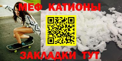индика Гатчина