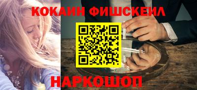 индика Гатчина
