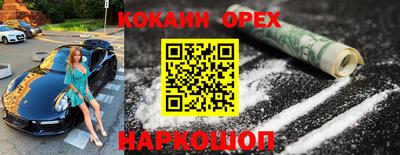 индика Гатчина