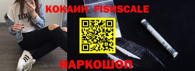 индика Гатчина