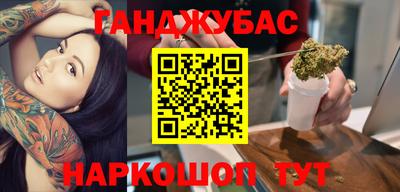 индика Гатчина