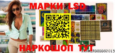 индика Гатчина