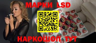 индика Гатчина