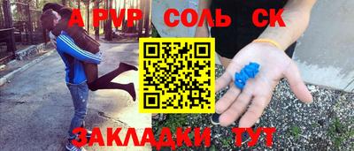 индика Гатчина
