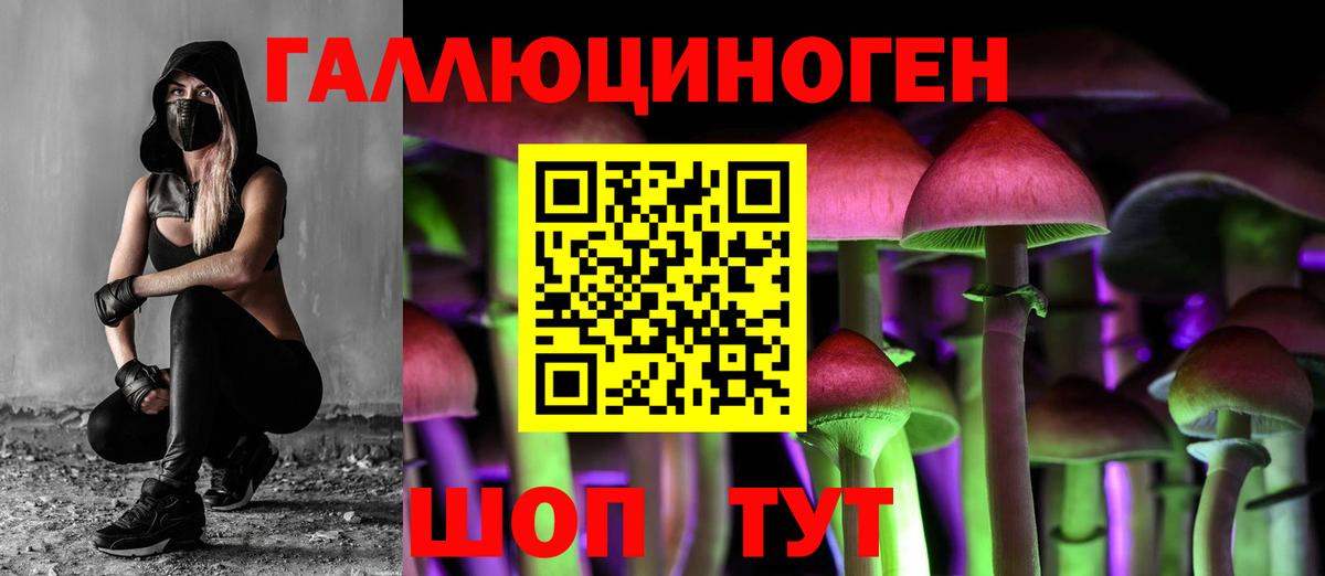 Псилоцибиновые грибы GOLDEN TEACHER  Галлюциногенные грибы Psilocybe  Кинешма  Вход с VPN 
